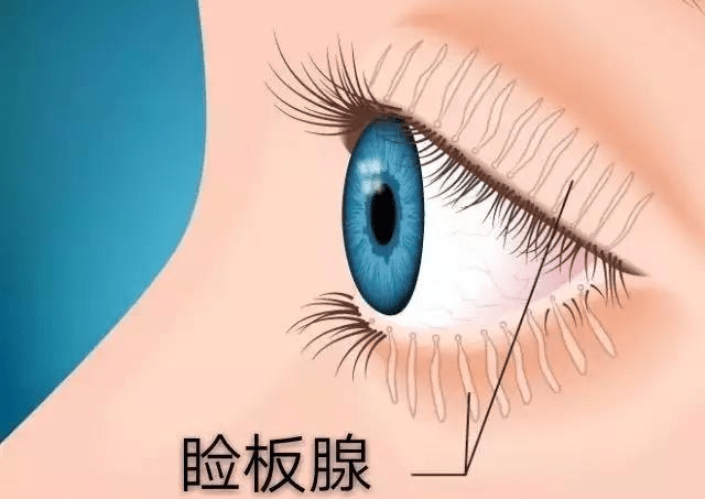 微信图片_20221126095251.png