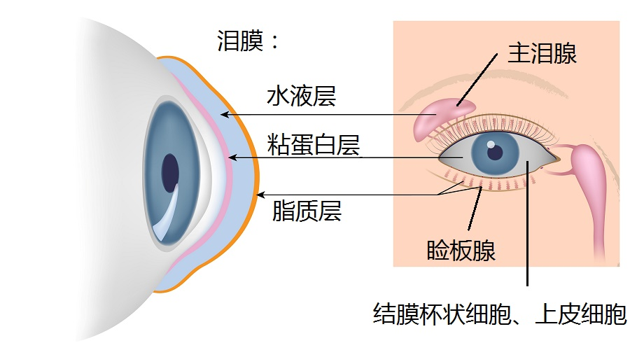 微信图片_20221126095132.png