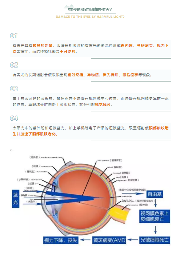 微信图片_20221104160102.png