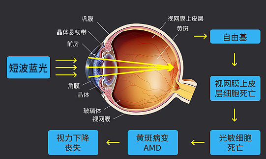 微信图903.jpg