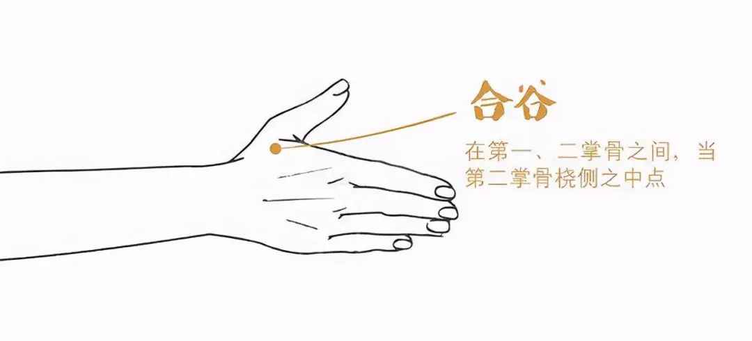 微信图片_20221214164322.jpg