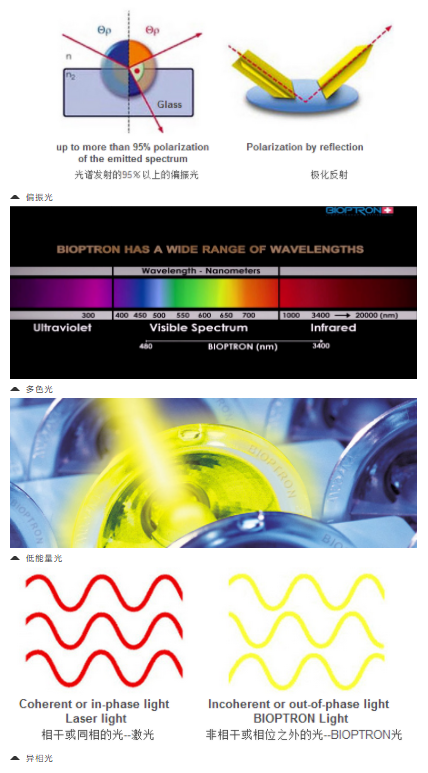 微信图片_20230105114901.png