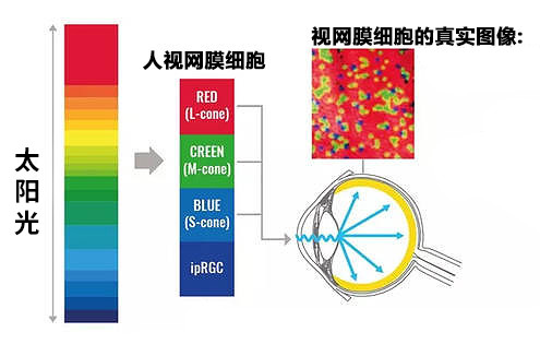 微信图片_20230221155508.jpg