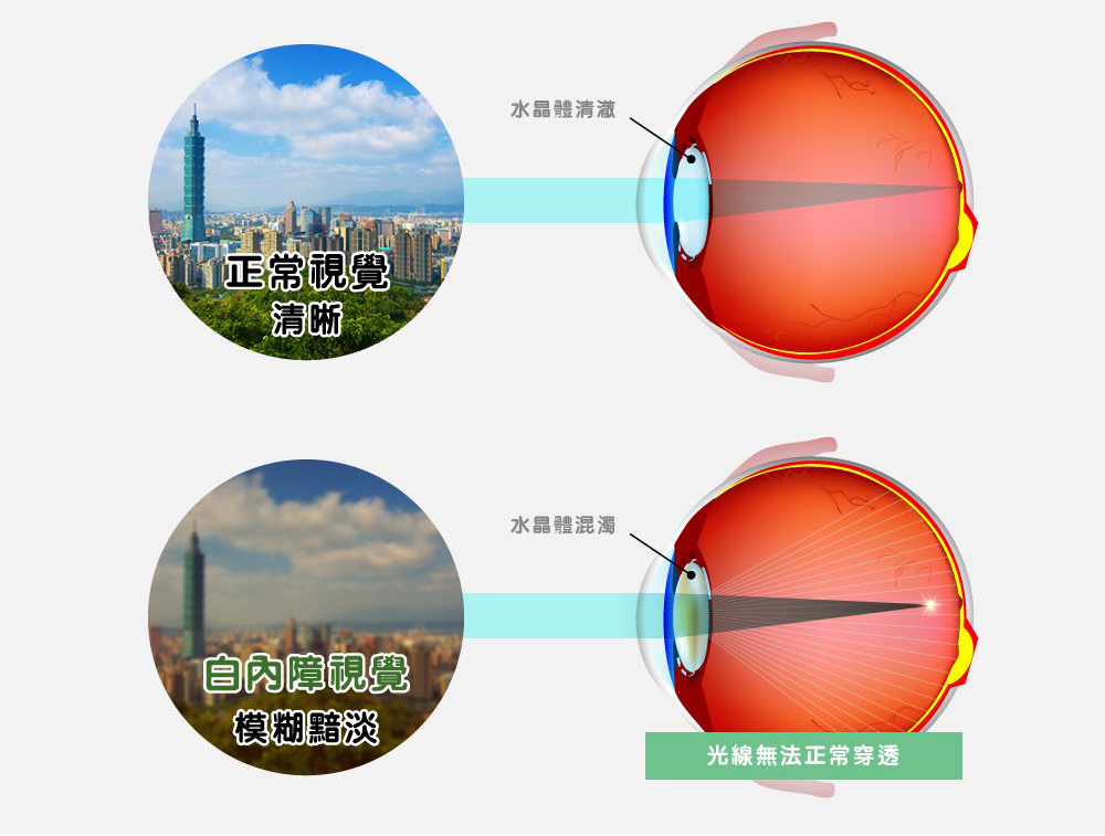 640 (2).png