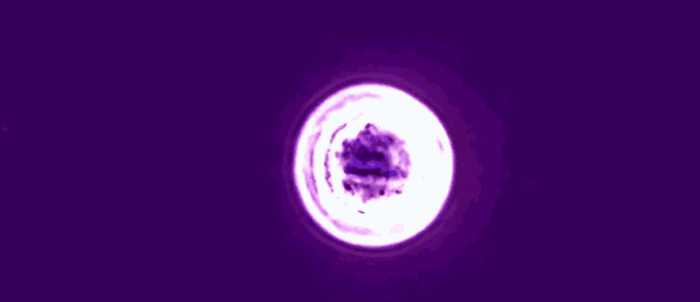 640.gif