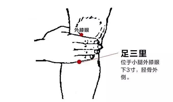 下载 (1).jpg