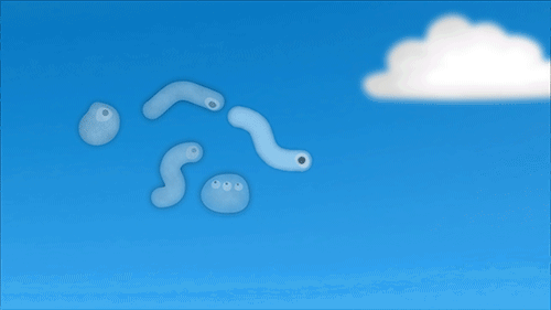 微信图片_20230525171946.gif