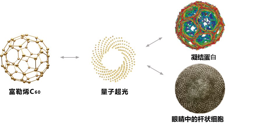 640 (1).png