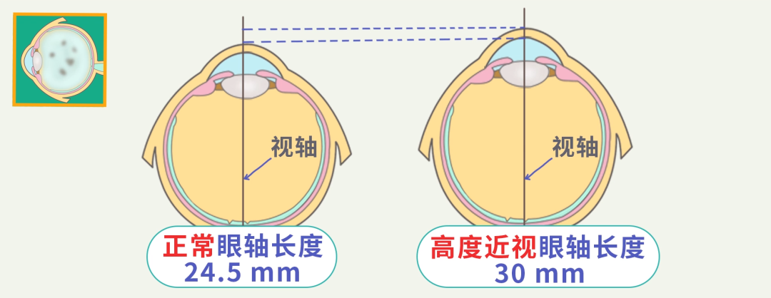 微信图片_20230526141731.png