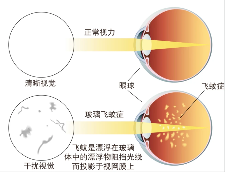 微信图片_20240313163548.png